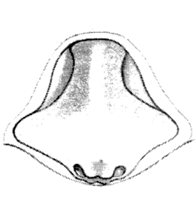 speciesimage