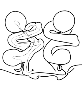 speciesimage