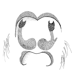 speciesimage