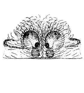 speciesimage