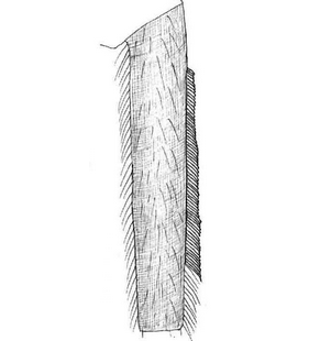 species