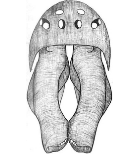 species