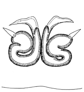 speciesimage