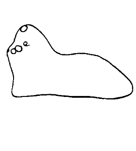 speciesimage