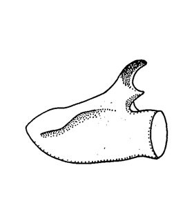 speciesimage