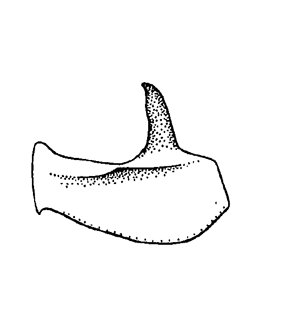 speciesimage
