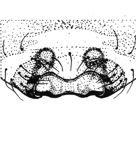 speciesimage