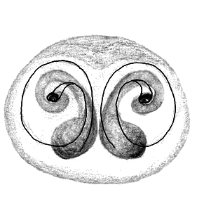 speciesimage