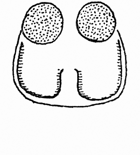speciesimage