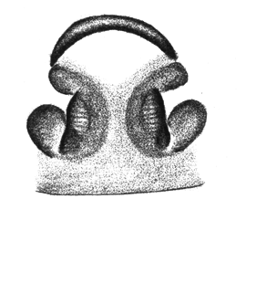 speciesimage