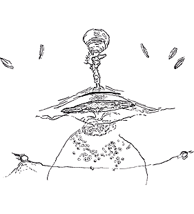 species