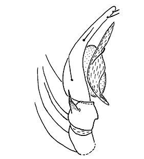 speciesimage