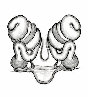 speciesimage