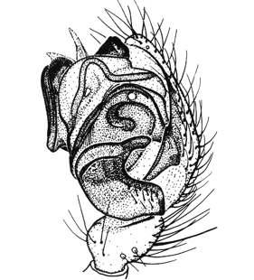 speciesimage