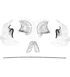 speciesimage