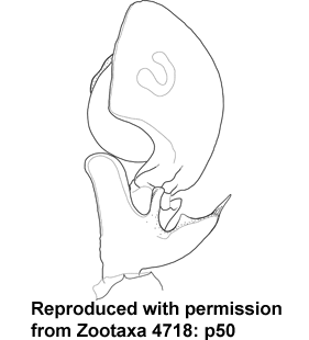 speciesimage