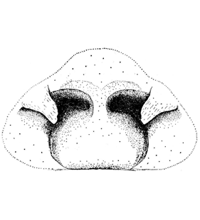 speciesimage