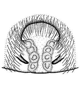 speciesimage