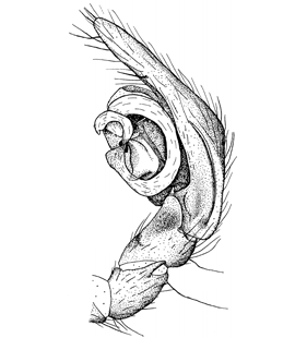 speciesimage