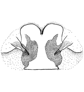 speciesimage