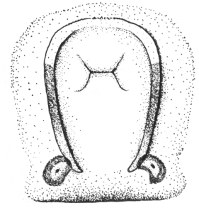 speciesimage