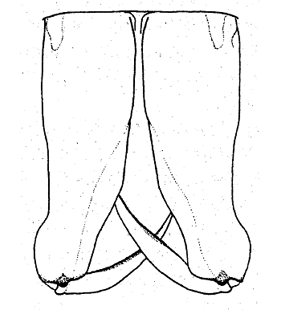 speciesimage