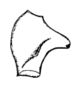 speciesimage