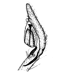 speciesimage