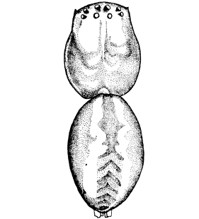 speciesimage