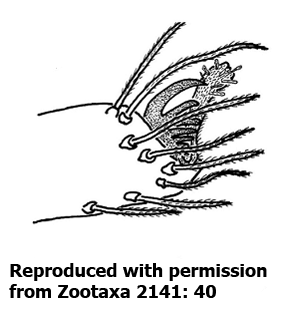 speciesimage