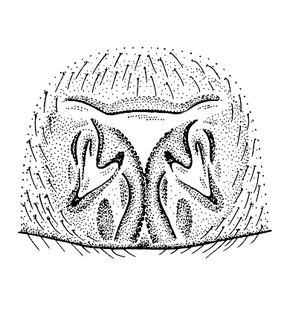 speciesimage