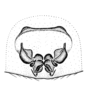 speciesimage