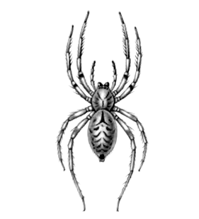 speciesimage