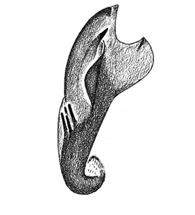 speciesimage