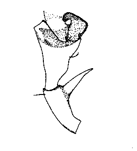 speciesimage