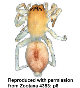 speciesimage