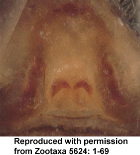 speciesimage