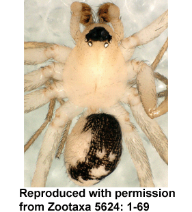 speciesimage