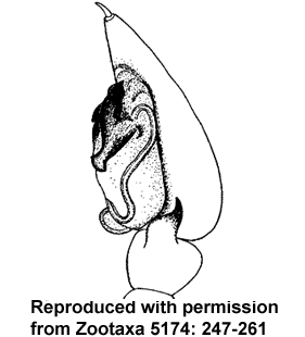 speciesimage
