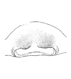 speciesimage