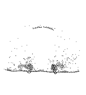 speciesimage
