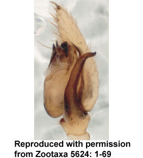 speciesimage
