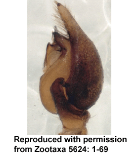 speciesimage