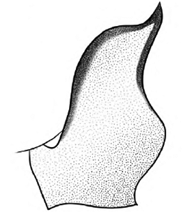 speciesimage