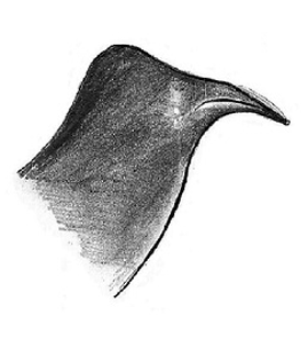 speciesimage