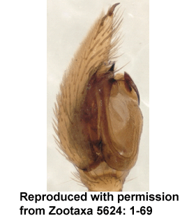 speciesimage