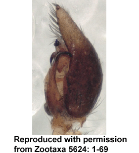 speciesimage