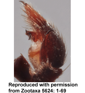 speciesimage