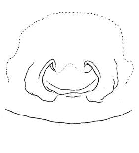 speciesimage