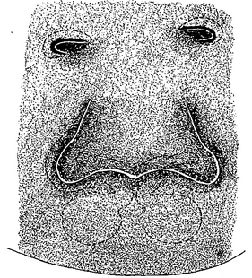 species
